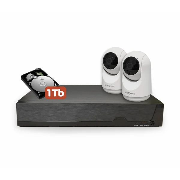 Grabador NVR Onvif + 2 cámaras Sentinel III